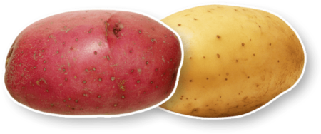 potato-red-yellow